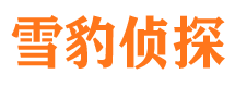 甘谷侦探